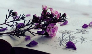 成人高考怎么报名（成人高考可以报考哪些大学）