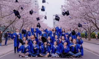 研究生怎么报名（在读研究生怎么报名）