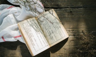 带衤的字有哪些 带讠的字有哪些?