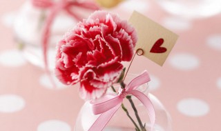 母亲节日是哪一天（母亲节日是哪一天时间?）