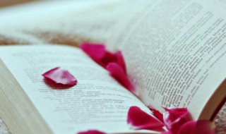 新文化运动的基本口号 新文化运动的基本口号是反帝反封建