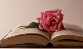 新文化运动的性质 新文化运动的性质和内容