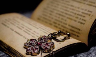 新文化运动属于革命还是改革 新文化运动是革命运动吗