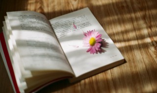 置喙怎么读（置喙怎么读什么意思）