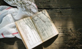 智赚玉麒麟概括50字（智赚玉麒麟读后感50字）