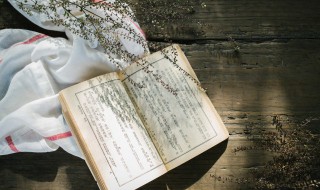 什么是人权保障的前提和基础