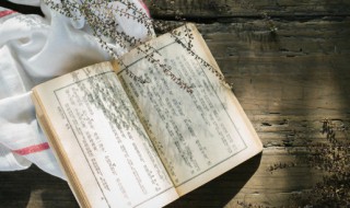 拔刀相助意思是什么（拔刀相助意思是什么怎么造句）