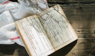 红楼梦第三十八回概括（红楼梦第三十八回概括200字）