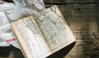 无怎么组词语（无怎么组词语?）