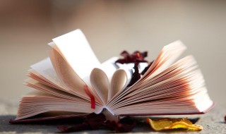 万怎么组词（飘怎么组词）