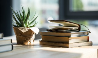 草雉剑怎么读zhi还是ti