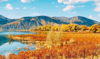 新疆可可托海在哪里 可可托海在新疆那个地方