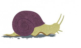 蜗牛是用什么爬行的 蜗牛是用什么爬行的金鱼是用什么呼吸的