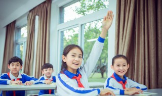 95的因数有哪些（95的因数有哪些算式）