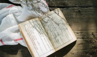 薛宝钗人物分析（红楼梦薛宝钗人物分析）