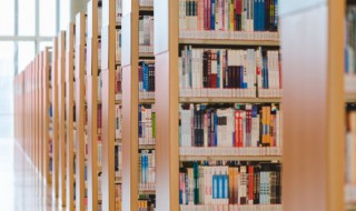 甸怎么组词（甸怎么组词组词语有哪些）