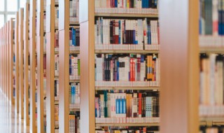 枯字怎么组词（枯字怎么组词语）