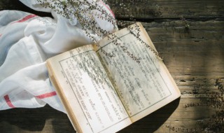 平凡的世界第三部概括 平凡的世界第三部概括50字