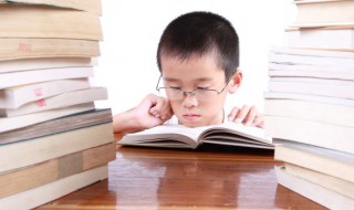 海底两万里4到6章概括 海底两万里4到6章概括150字