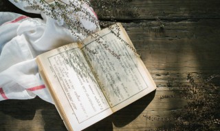 简爱31章概括（简爱31章概括300字）