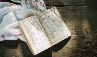 红楼梦第四十四回概括（红楼梦第四十四回概括300字）