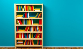 边城情节概括 边城情节概括小标题