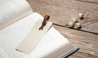 药主要内容概括 药主要内容概括50字