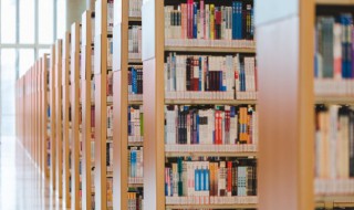 红楼梦第29回概括（红楼梦第29回概括50字以内）