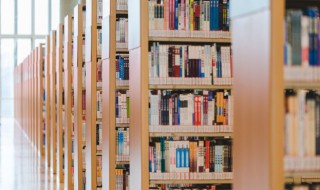 红楼梦第二十四回概括 红楼梦第二十四回概括300字