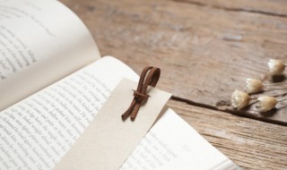 桃花源记概括（桃花源记概括内容60字）