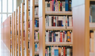 绿野仙踪概括 绿野仙踪概括英文