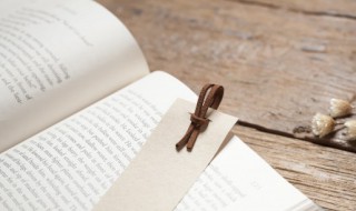 入迷的近义词 入迷的近义词是什么 标准答案