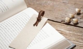 什么活像什么（我一有了什么就什么活像什么）