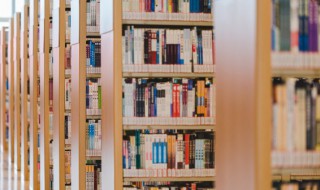 感觉的近义词 警觉的近义词