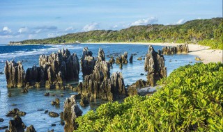 世界上最小的岛是什么岛（世界上最小的岛是什么岛打三个数字）