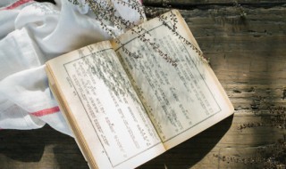 杏花烟雨江南全诗（杏花烟雨江南上一句是什么）