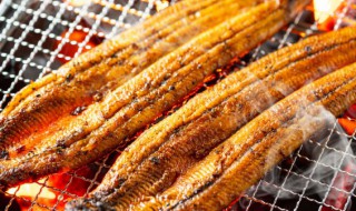 鳗鱼拼音（鳗鱼拼音怎么读音发音）