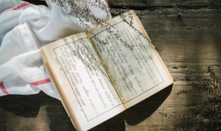 水浒传朝代 芈月和水浒传朝代