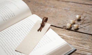 内拼音怎么写（内拼音怎么写的拼音怎么读）