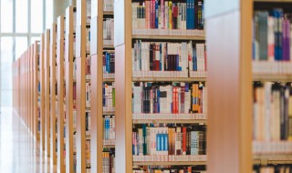 斌的拼音怎么写 斌的拼音怎么写的拼大写