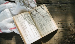 瑞怎么拼音 瑞怎么拼音怎么打