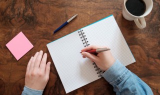 竹子的拼音怎么写（仙人掌的拼音怎么写）