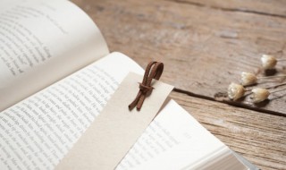 苏武传内容概括 苏武传内容概括四字词语