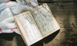 祥子在曹宅的内容概括（祥子在曹宅想的两件事是什么）