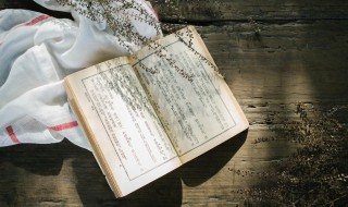 好嘴杨巴内容概括（好嘴杨巴主要内容概括）