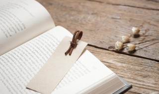 碎怎么组词 碎怎么组词语和拼音