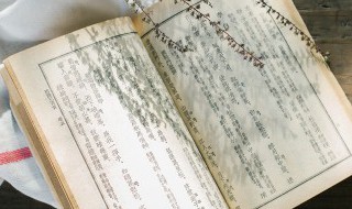 口可以怎么组词（唯可以怎么组词）