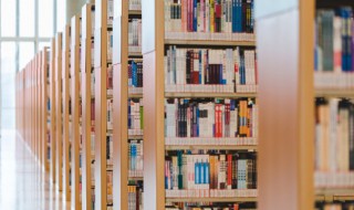 咨怎么组词（资怎么组词）