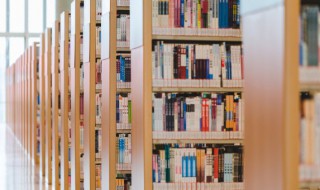 春字怎么组词 春字怎么组词一年级