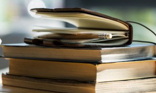 已字怎么组词（蚁字怎么组词）